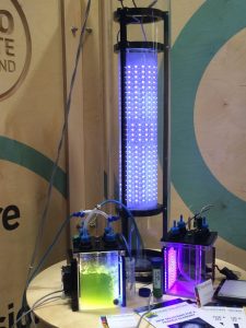 photobioreactor